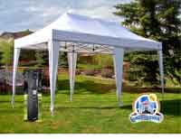 Canopy Truss Frame