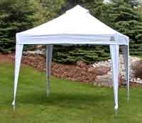 Canopy